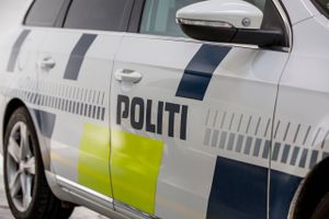 Politiet skulle følge op på et tip om muligt salg af hash i en lejlighed. Flere sammentræf førte pludselig til fire anholdelser. Her er dagens uddrag af døgnrapporten.