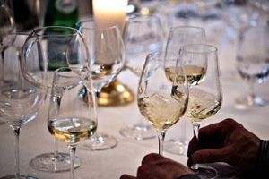 Vinglas markedsføres som rød- og hvidvinsglas, og tilmed hævder nogle producenter, at deres glas passer til en barbera- eller nebbiolo-drue. Vi spørger præsidenten for Dansk Sommelier Forening, om det faktisk betyder noget for smagen, hvilket glas vinen drikkes af. 