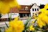De seneste 10 år er der for alvor kommet fokus på fødevarer i Aarhus, og dermed har hele restaurationsbranchen fået et klart løft. Sådan lyder det enstemmigt fra flere aktører i branchen.