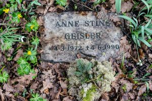 33 år efter at den 18-årige Stine Geisler blev mishandlet og myrdet i en kælder i det indre København, er sagen fortsat uopklaret. Men journalisten og forfatteren Peer Kaae har mødt flere vidner, der kan bringe sagen nærmere en opklaring. 