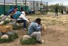 Hjælpeorganisationer i Calais deler hver dag mad ud til migranterne forskellige steder i byen. Organisationen Refugee Community Kitchen laver hver dag 2.750 måltider, som deles ud i Calais og i andre byer som Dunkirk og Grande-Synthe på den franske nordkyst, hvor migranterne også holder til. Foto: Marie Louise Albers/JP