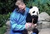 Statsminister Lars Løkke Rasmussen (V) mødte tirsdag de to pandaer, der skal sendes til København i slutningen af 2018, under et besøg i Chengdu Panda Base, hvor de to pandaer bor indtil videre. PRIVATFOTO