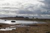 Kalø Slotsruin tilbyder en spektakulær oplevelse inden for natur og kulturhistorie. Området besøges hvert år af mellem 150.000 og 200.000 gæster. Fotos: Kenneth Lysbjerg Koustrup