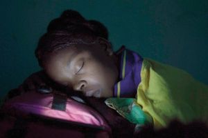 Hovedprisen går til filmen ”The Last Shelter” af den malisiske dokumentarist Ousmane Samassekou.