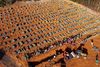 TOPSHOT - Aerial view of cemetery workers unloading a coffin from a truck at an area where new graves have been dug at the Parque Taruma cemetery, during the COVID-19 coronavirus pandemic in Manaus, Amazonas state, Brazil, on April 21, 2020. - Graves are being dug at a new area of the cemetery for suspected and confirmed victims of the COVID-19 coronavirus pandemic. (Photo by MICHAEL DANTAS / AFP)