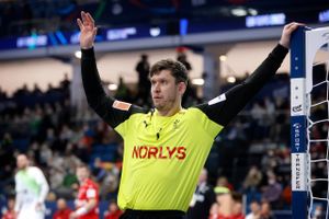 Aalborg Håndbold får i 2023 tilgang af Niklas Landin, der to år i træk er blevet kåret som verdens bedste.
