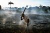I Brasilien bliver landets kæmpe skovområder i øjeblikket fældet med et accelererende tempo. Foto :Julio Etchart/Panos Pictures