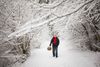 Sne og kulde holder ikke Jan Kristiansen fra at indsamle råvarer til sine snapse i naturen. I mange år har han afholdt snapsevandringer for Smag på Aarhus. Den næste vandring finder sted 26. maj. Foto: Mathias Svold
