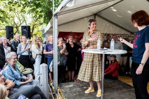 Politisk aftale gør det muligt at gennemføre politisk festival på Bornholm med et begrænset publikum.