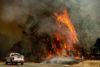 Noah Berger/ AP