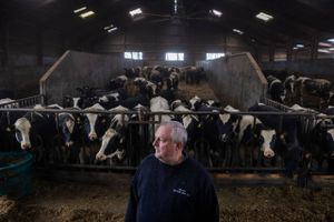 På en slægtsgård i Himmerland bor en af verdens mest klimaeffektive mælkeproducenter. Han har allerede besluttet, hvad der skal ske, hvis politikerne i Danmark indfører en klimaafgift: Så bliver stalden tømt for køer.