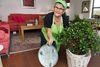 Sæt store planter på rulleplader, så de nemt kan flyttes, når gulvet rengøres. Foto: Bolius