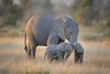 Arkivfoto: Diana Robinson/AP