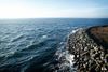 Både marinbiologer ved Danmarks Naturfredningsforening og Øresundsakvariet har kritiseret udledningen. Arkivfoto