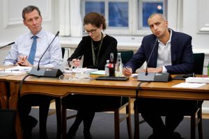 To fremmedkrigere fra Danmark har fået inddraget deres statsborgerskab administrativt, og to sager mere er sat i gang. Men kun et fåtal kan rammes sådan.