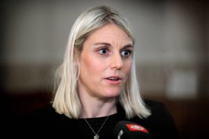 Forsvarsminister er bekymret over udvikling, hvor bagmænd hyrer professionelle hackere til at udføre angreb.