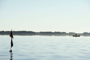 Fødevarestyrelsen har fundet algegift i muslinger i Risgårde Bredning og Hvalpsund i Limfjorden.