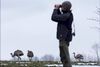 Den sydamerikanske struds nanduen lever allerede vildt i Tyskland, og der er sådan set ingen grund til, at den ikke også kunne leve vildt nord for grænsen. Foto: Jens Buettner/AP