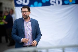 Sverigedemokraternas spidskandidat anklages for at have befamlet en partifælle.