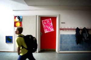 Danske Skoleelever modtager ikke offentlige tilskud, mens der pågår et tilsyn af foreningen.