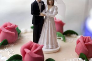 Virksomheder, som lever af bryllupsturisme, er stærkt påvirkede af, at sagsbehandlingen er flyttet fra kommunerne til Statsforvaltningen.