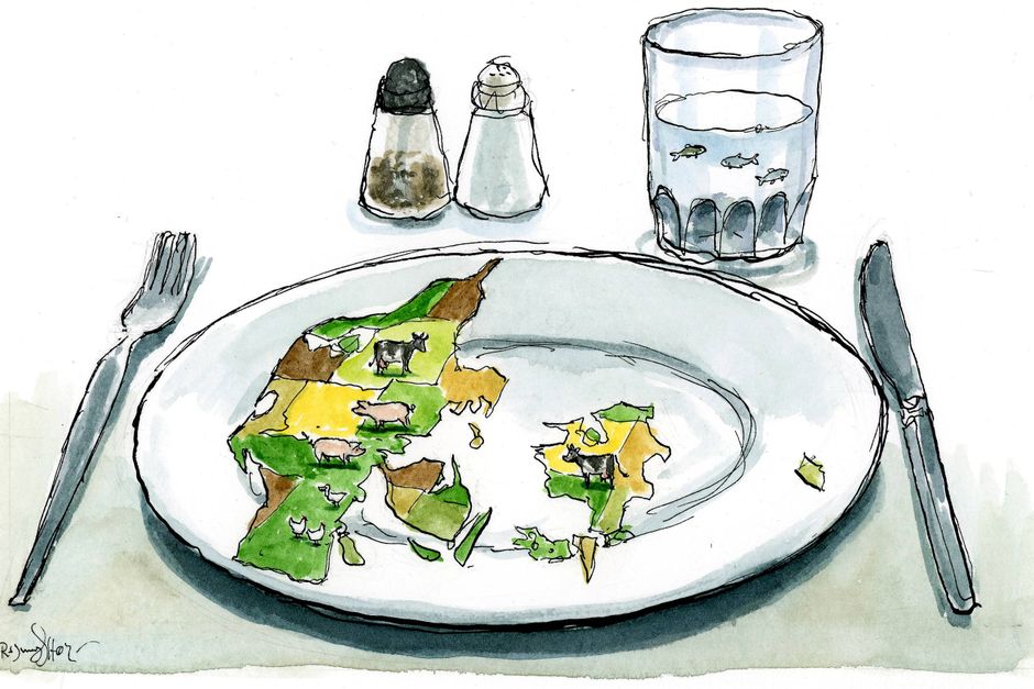 Artiklens øverste billede