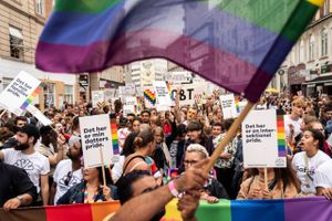 Debatten om LGBT-personers rettigheder er blevet til "ideologisk kønsekstremisme", mener Dansk Regnbueråd.