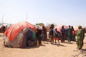 Husdyr i Somalia dør på grund af tørke. Og mennesker kan blive de næste ofre, advarer Red Barnet.