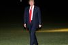 196 kongresmedlemmer agter at lægge sag an mod Donald Trump. Foto: Pablo Martinez Monsivais/AP