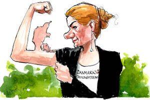 Johannes Riis forstår ikke, hvorfor Inger Støjberg forsøger at skabe et "dem-og-os"-fjendebillede i sin politiske retorik. Arkivtegning: Rasmus Sand Høyer