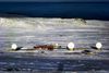 Thule Tracking Station, der her ses fra luften, ligger godt otte kilometer fra selve Thule Air Base. De tre antenner bag de hvide kupler modtager oplysninger fra såkaldte Low Earth Orbit-satellitter (LEO), som er en del af USA’s satellitbaserede spionprogram. Foto: U.S. Air Force
