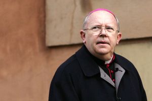 I alt 11 franske biskopper er beskyldt for at begå overgreb eller for ikke at anmelde overgrebssager i kirken.