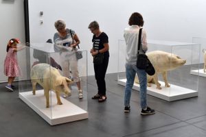 Den belgiske kunstner Wim Delvoyes’ tatoverede grise fra året Socle du Monde-biennale på kunstmuseet Heart i Herning. Fotograf: Ole Jørgensen