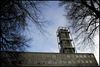 Plejepersonalets fagforening, FOA, kritiserer Ældreforvaltningen for at gå langt over stregen i bestræbelserne på at nedbringe sygefraværet.