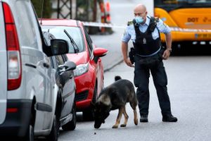 Sagen omhandler Københavns Politis Hundesektion. Betjenten på billedet har ikke noget med den konkrete sag at gøre. Arkivfoto: Jens Dresling
  