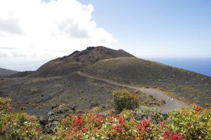Kraftig seismisk aktivitet i de seneste dage får myndigheder på La Palma til at advare om muligt vulkanudbrud.