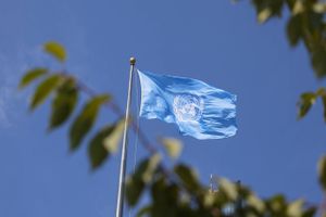 Når FN's Generalforsamling i disse dage holder møde i New York vil Danmark annoncere sit kandidatur til en plads ved et af de vigtigste borde i international politik.
