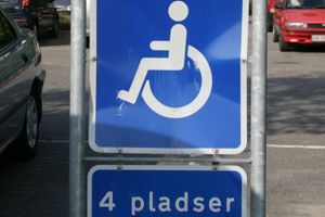 »Det er gået for vidt,« siger formanden for Danske Handicaporganisationer.