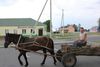 Grodno med omkring 250.000 indbyggere i det nordvestlige Hviderusland har som den eneste større by i landet hele den gamle bydel intakt. Økonomisk isolation fra resten af Europa betyder dog, at landet er præget af fattigdom. Foto: Jens Malling