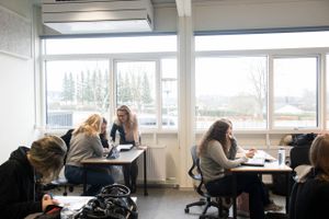 Landsformanden for Skole og Forældre mener, at præstationer fra nationale tests ikke skal stå alene i bedømmelsen af det faglige niveau.
