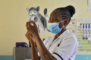 Det store spørgsmål er, om en ny vaccine mod malaria virker godt nok, og om den kan nå ud til alle afkroge af Afrika.