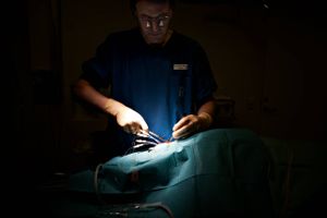 Arkivfoto: Marcus Trappaud Bjørn