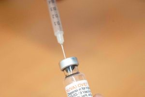 Der kan ikke udvikles immuntolerance ved covid-19-vaccinationer på samme måde som ved vaccination af allergiske patienter, da det er to forskellige klasser af antistoffer, der udvikles, skriver Niels Højby og Flemming Madsen. Arkivfoto: Nicolas Maeterlinck