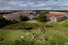 Agro Food Park er på 10 år blevet Nordens største forsknings- og udviklingscenter for fødevarer med 80 virksomheder og vidensinstitutioner, 1.200 medarbejdere – og nu seks bygninger på i alt 50.000 kvm. Foto: Casper Dalhoff