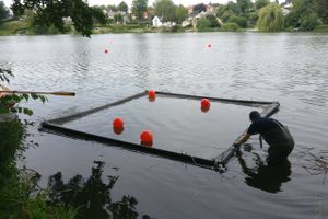 Ny teknologi kan måske om nogle år rense vandet i danske søer med en både bedre og billigere metode.
