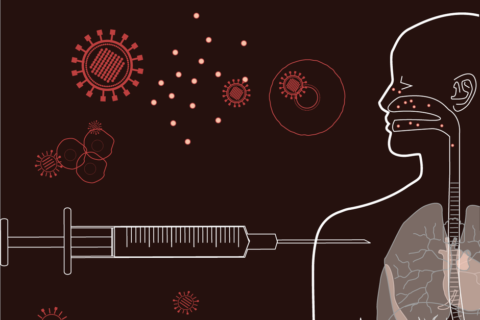 Vaccinekapløbet i 2020 har ført til nye produktionsfaciliteter, nye teknologier og imponerende resultater på kort tid. Eksperter peger på, at coronavaccinerne vil bane vejen for vacciner mod sygdomme som ebola, hiv og kræft. 