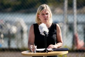 Skærpede straffe og øget indsats ved grænserne er blandt forslag fra de svenske socialdemokrater.