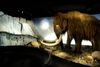 Genetikeren George Church fra Harvard University mener,at han er to år fra at kunne præsentere verden for et embryo, som er en krydsning mellem en mammut og en elefant. Arkivfoto: Lizette Kabré