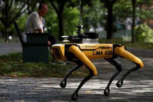På forsøgsbasis har Singapore sendt en gul robothund ud i parkerne for at sikre, at folk holder afstand.