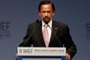 Sultan Hassanal Bolkiah forventer, at resten af verden respekterer landets nye lovgivning, sagde han i aftes i en tv-tale til nationen.